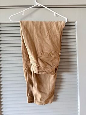 Everlane Barrel Pants